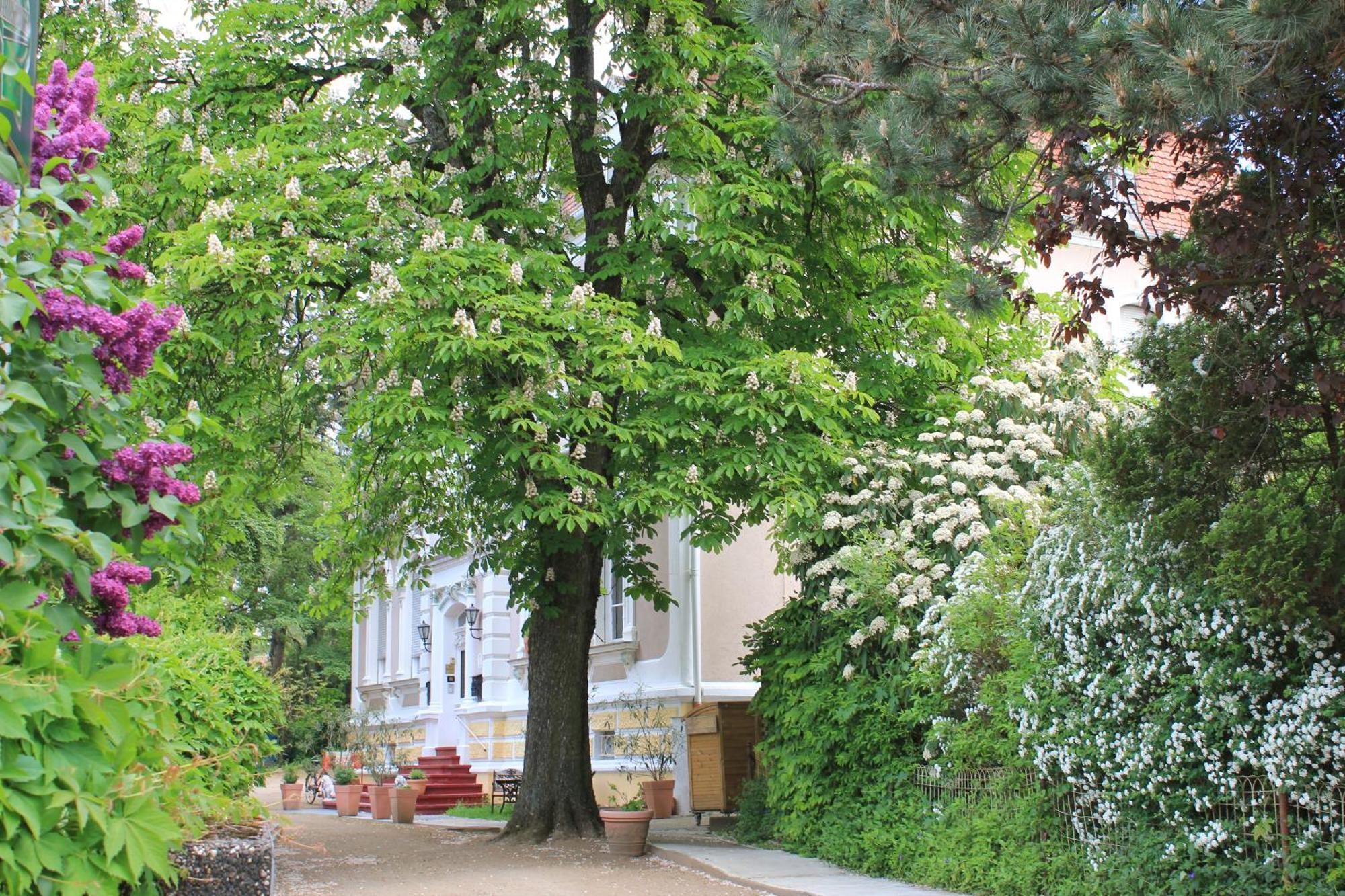 Hotel Waldfriede Darmstadt Exterior photo